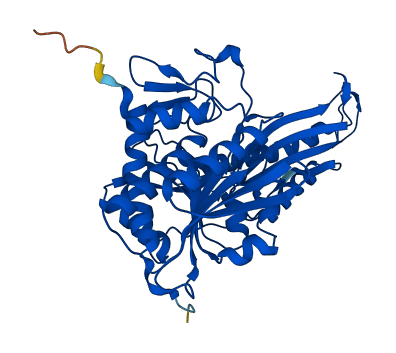 Acy1b 3D structure