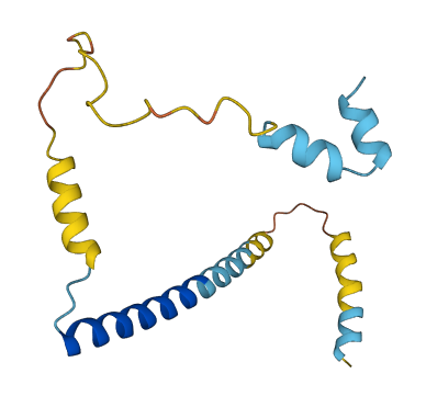 CPLX2 3D structure