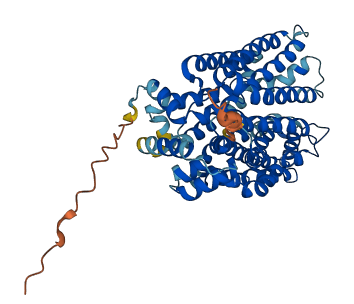 SLC2A7 3D structure