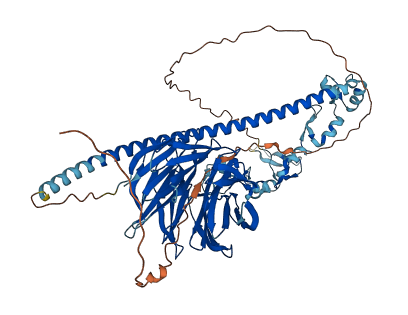 TRAF7 3D structure