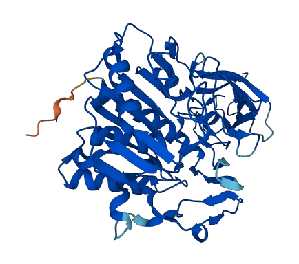 Acot5 3D structure