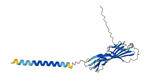 CD200R1L 3D structure