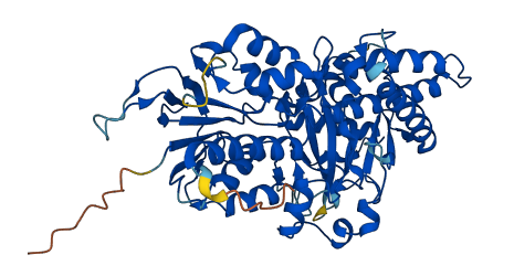 PAOX 3D structure