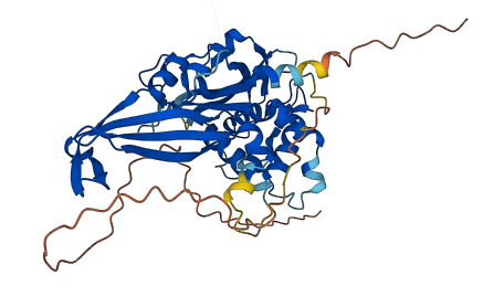 USP17L6P 3D structure