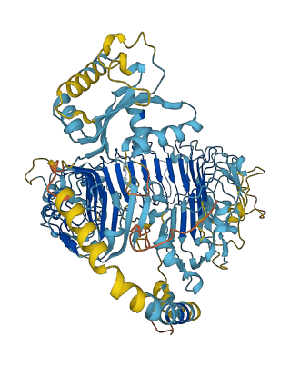 Tlr12 3D structure