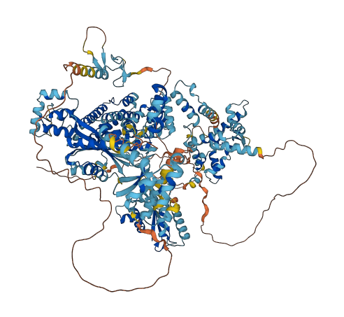 ZBED9 3D structure