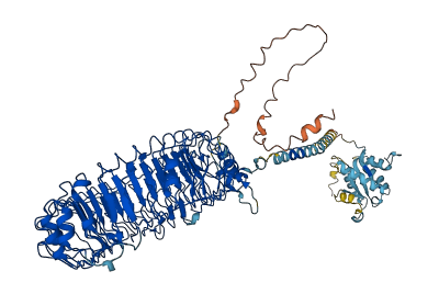 Tlr13 3D structure