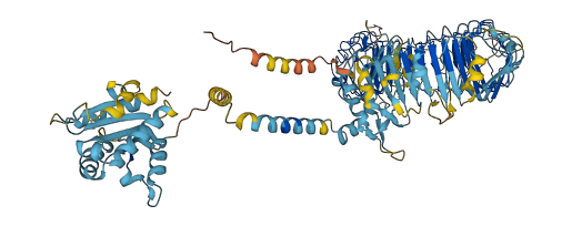 Tlr11 3D structure