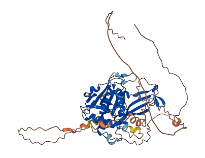 USP17L2 3D structure