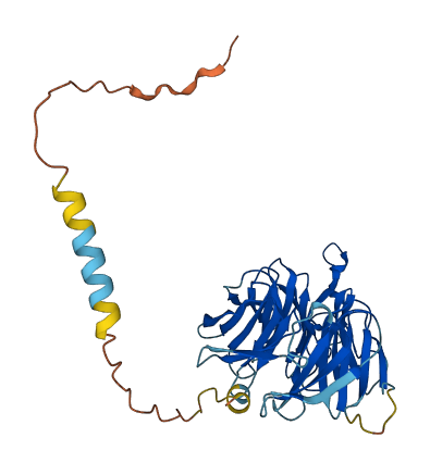 WDR74 3D structure