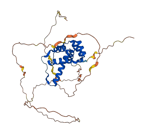 DUX4L9 3D structure
