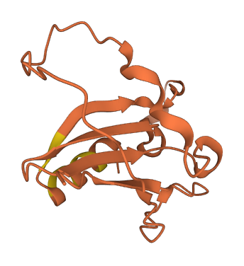 C19orf48 3D structure