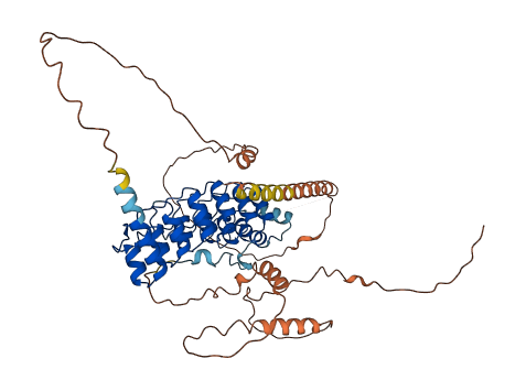 POTEG 3D structure