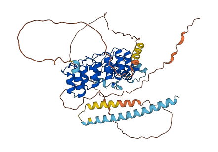 POTEA 3D structure