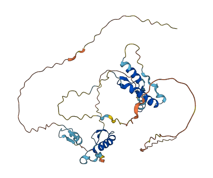 ZNF474 3D structure