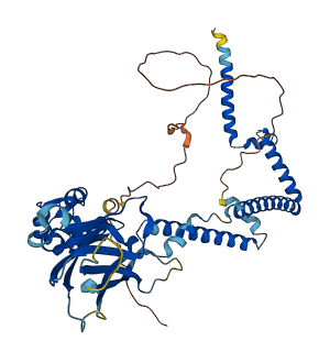 SMARCD3 3D structure