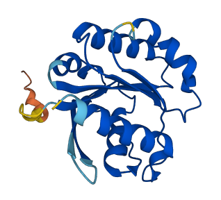 ARL9 3D structure