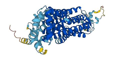 SLC22A25 3D structure