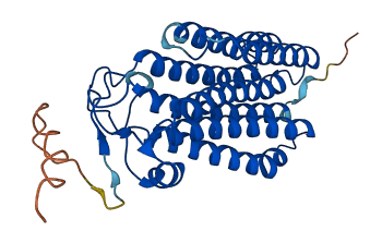 PAQR3 3D structure
