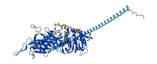 CASC1 3D structure