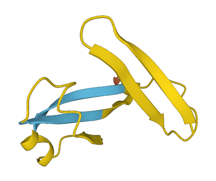 Defb50 3D structure