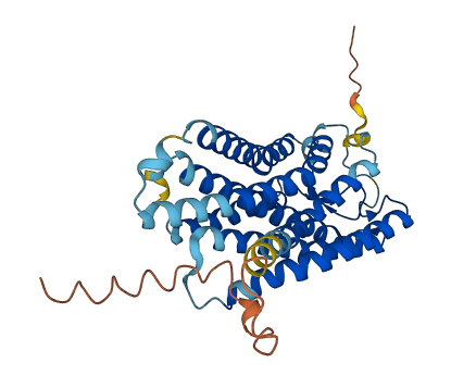 OPN5 3D structure