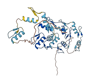 ZNF322 3D structure