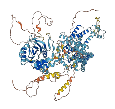 SLC4A10 3D structure