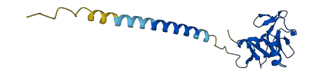 CLEC2A 3D structure