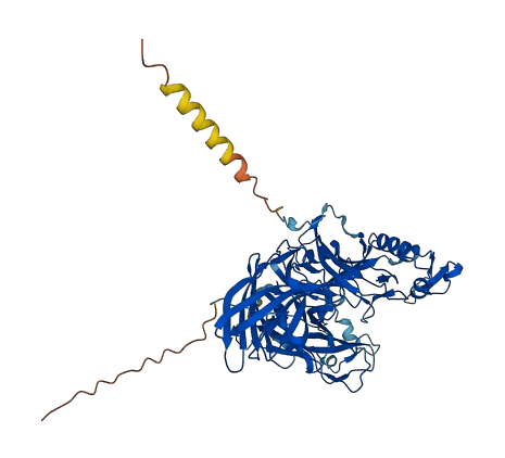 MOXD1 3D structure