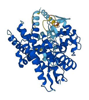 CYP20A1 3D structure