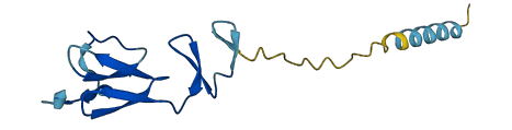 IGFL1 3D structure