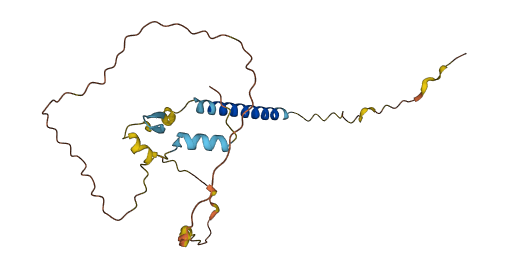 C16orf54 3D structure