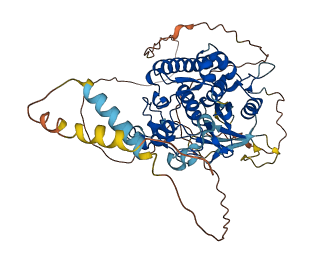GASK1B 3D structure