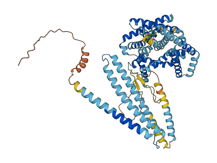 TMCO3 3D structure