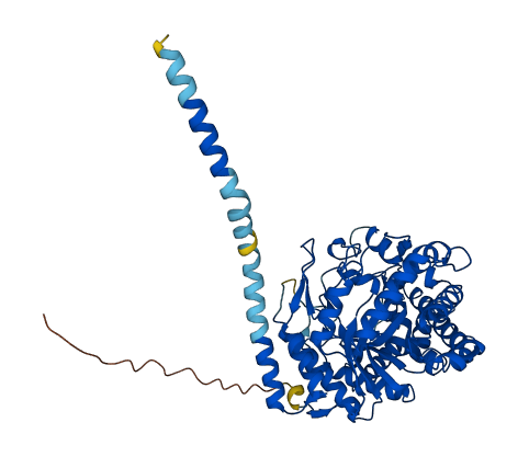 LCTL 3D structure