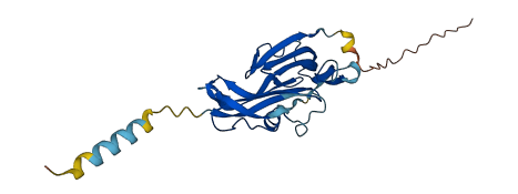 LYPD4 3D structure