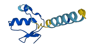 SPINK6 3D structure