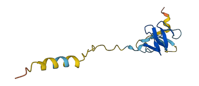 IGFL2 3D structure