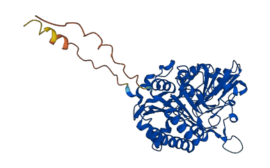ENPP6 3D structure