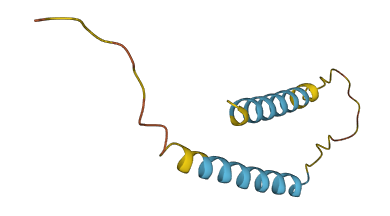 C5orf46 3D structure