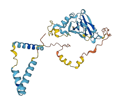 C6orf89 3D structure