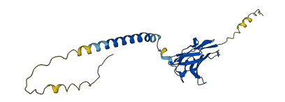 MPZL3 3D structure