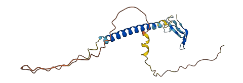 SHISAL2A 3D structure