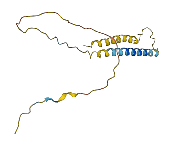 TMEM207 3D structure
