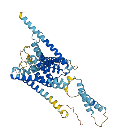 LMBR1L 3D structure