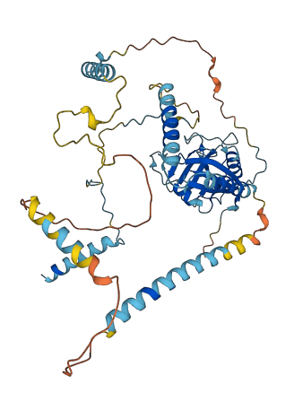 CWC27 3D structure