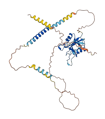 LAYN 3D structure