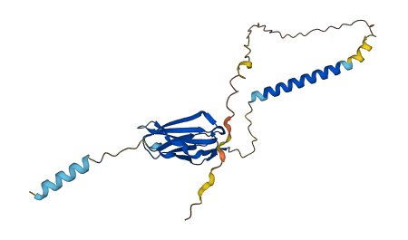 VSTM1 3D structure