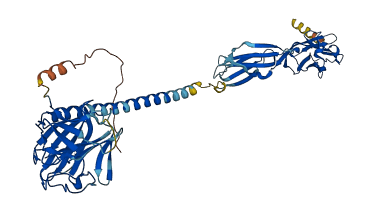 BTNL8 3D structure